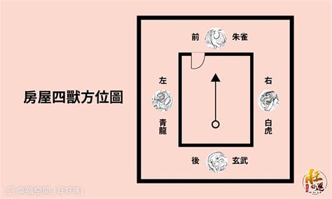 客廳龍邊虎邊|龍邊虎邊如何分辨？掌握風水佈局的關鍵 